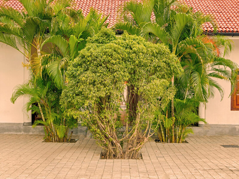 Hotel J - Unawatuna
